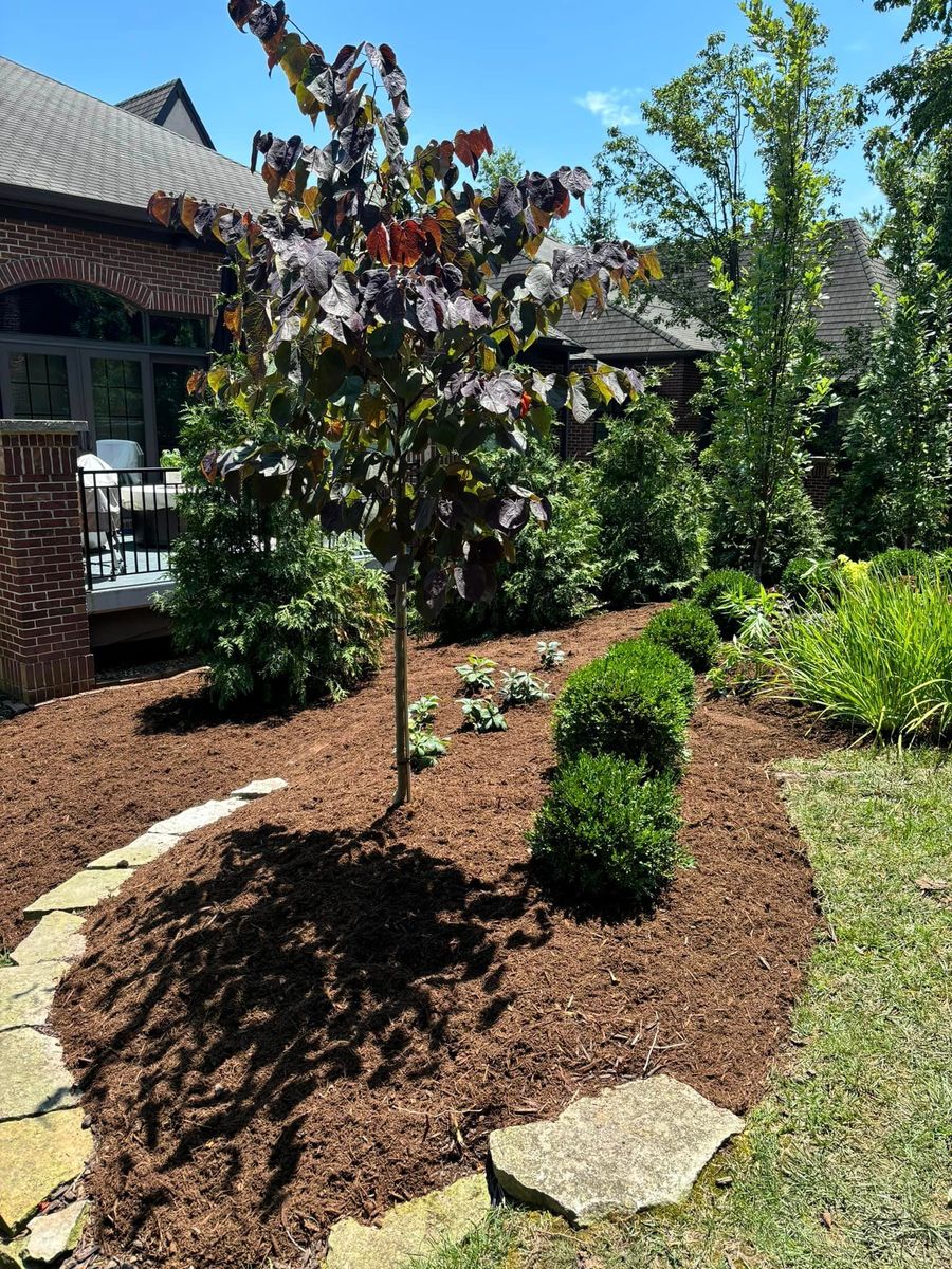 Shrub Trimming for J & B Landscaping in St. Louis, MO