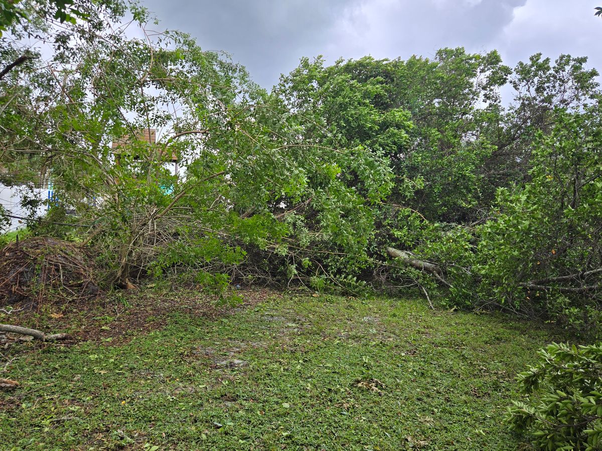 Site Preparation for Downer Site Services in Sanford, FL