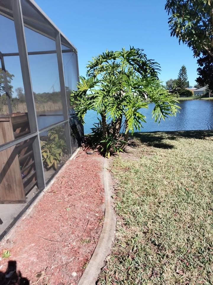 Tree Trimming for Space Coast Property Maintenance and Management LLC in Brevard County, FL
