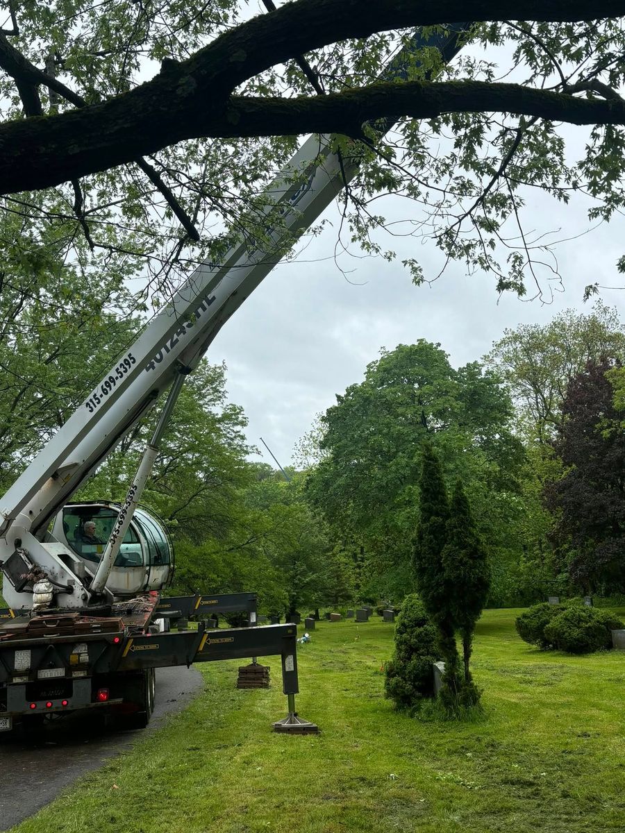 Aerial Cat Rescue for T's Trees in Albany, NY