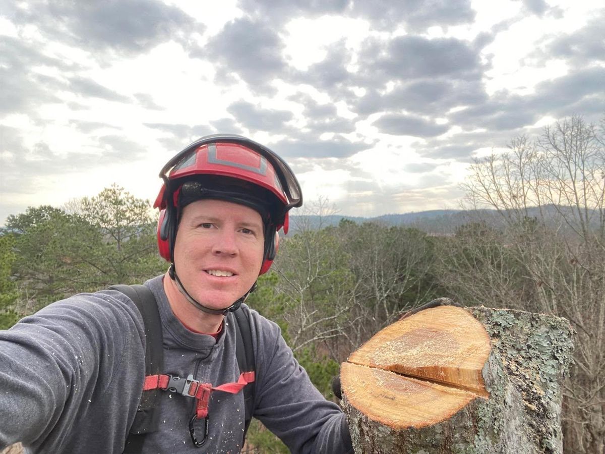 Stump Removal for Pinedown LLC in Cherokee County, GA