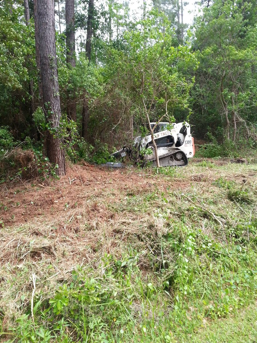 Tree Trimming for David's Tree Service in Slidell, LA