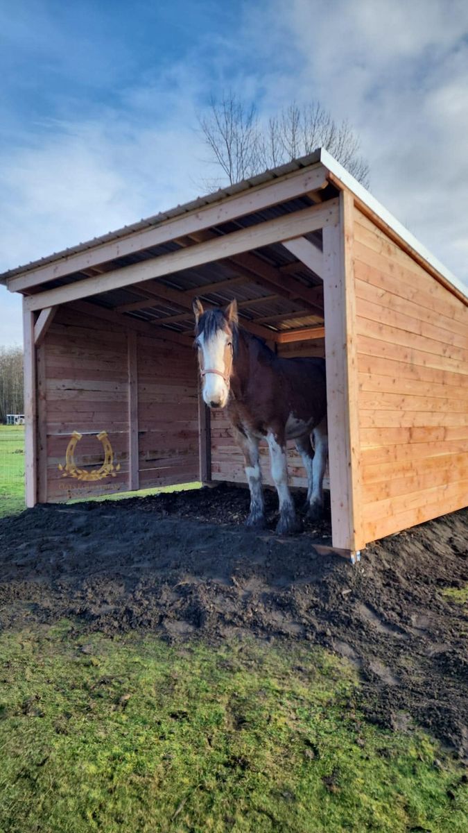 Shelters for Oats Equestrian Fencing LLC in Arlington, WA