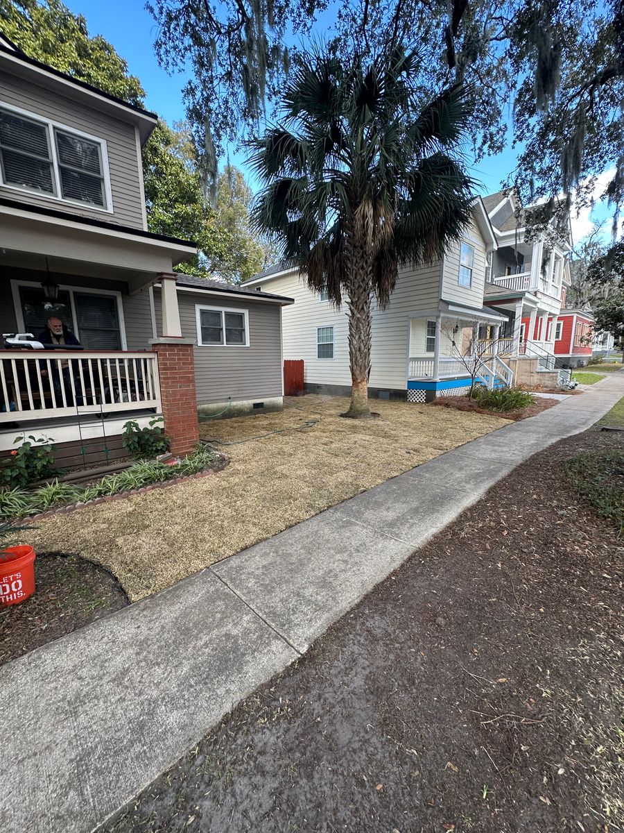 Sod installation for Coastalscapes Landscaping & Turf Management  in Savannah, GA