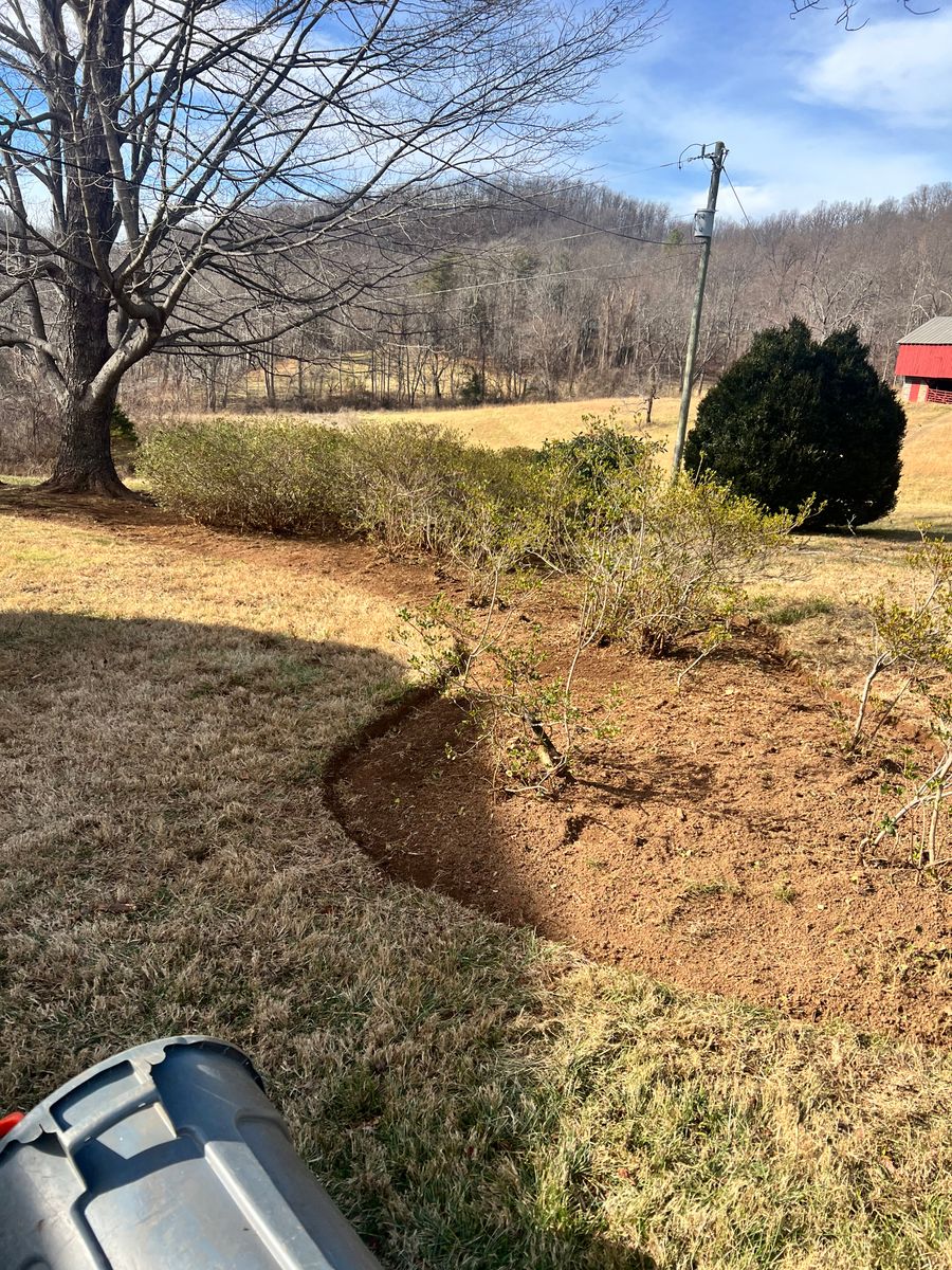 Shrub Trimming for Valencia’s Lawncare in Charlottesville, VA