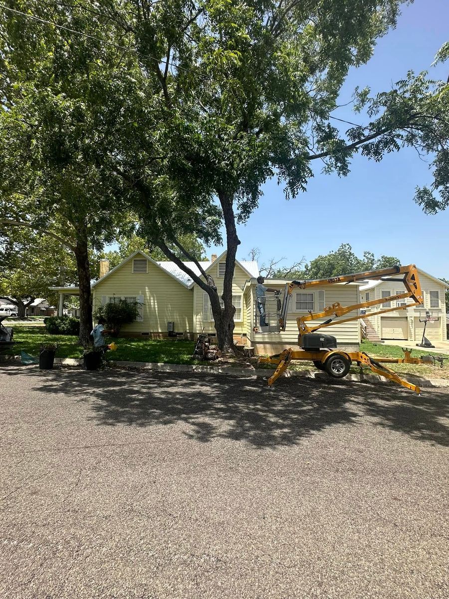 tree service- trimming and removals for CrossCut in Kempner, TX