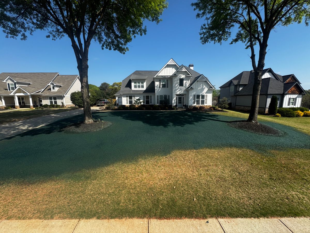 Hydroseeding for Deeply Rooted Lawns – Hydroseeding & Sod Installation Services in Winder, GA