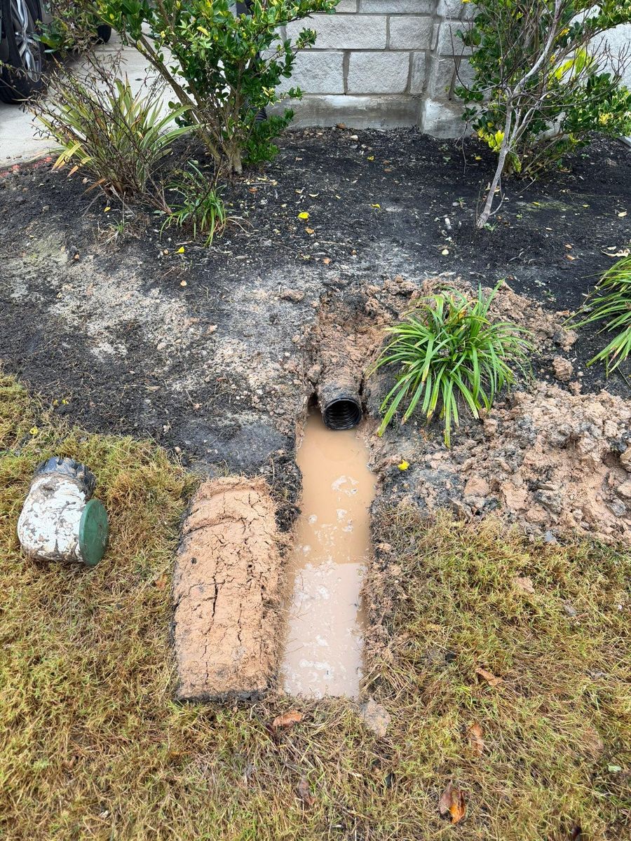 Landscaping for Texas Curb N Borders in Houston, TX