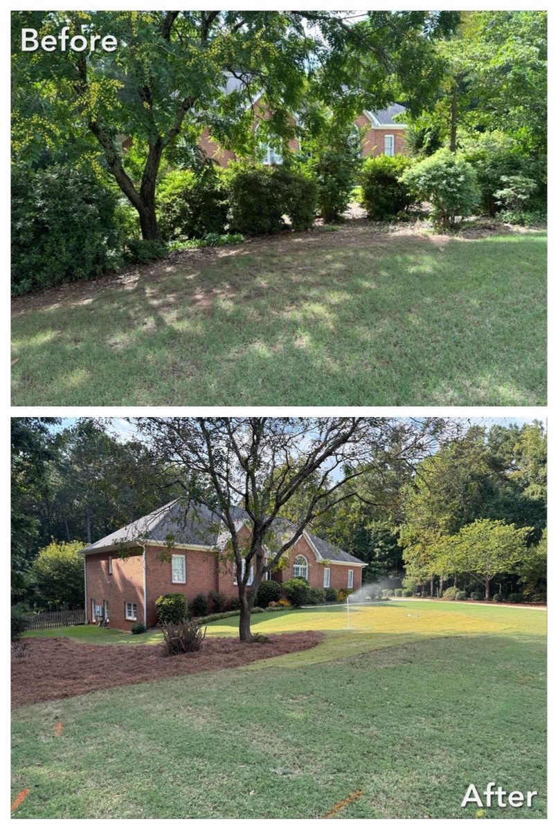 Brush Cutting and Removal for Fayette Property Solutions in Fayetteville, GA