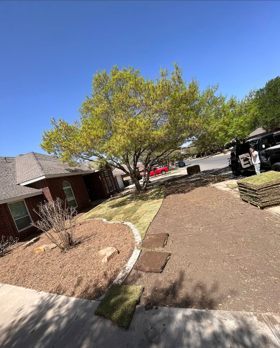 Sodding for Stone's Tree Services and Landscaping in Midland, TX