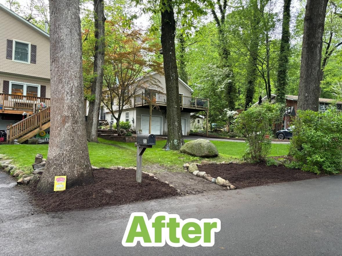 Landscape Design for MDR Landscaping in Urbana, IL