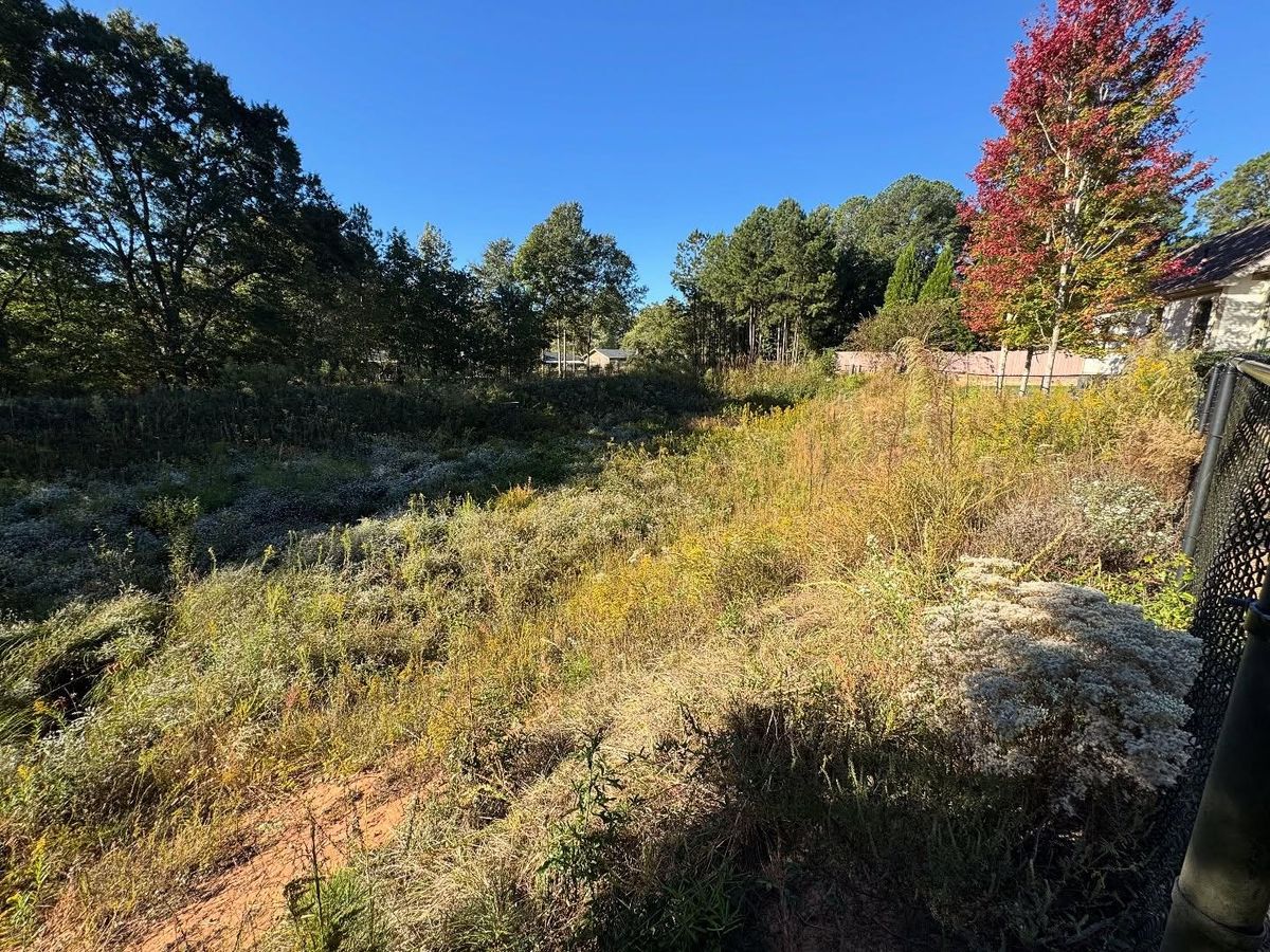 Detention Pond Maintenance for Fayette Property Solutions in Fayetteville, GA