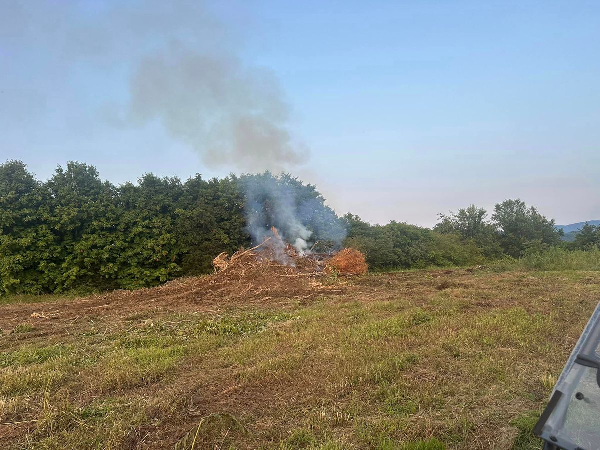 Land Clearing for Miller Farms Hay & Land Management in Philadelphia, TN