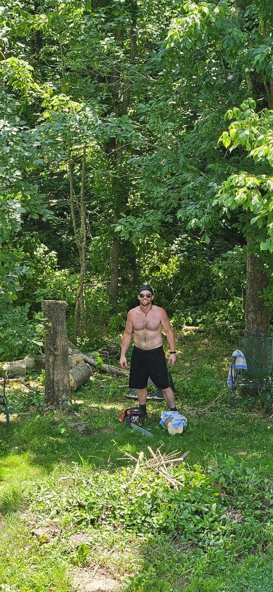 Tree Removal for Terra Steel Creations in Independence, KY