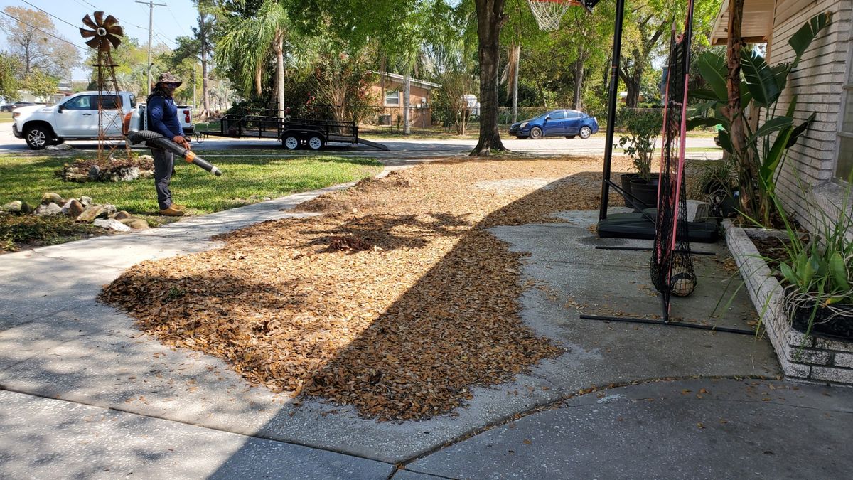 Fall Clean Up for 1 Friendly Lawn Service in Tampa, FL