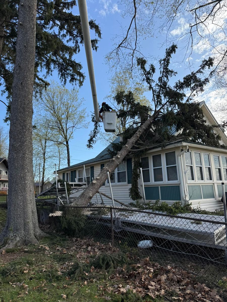 Tree Removal for Lovenguth Logging and Tree Service in West Monroe, NY