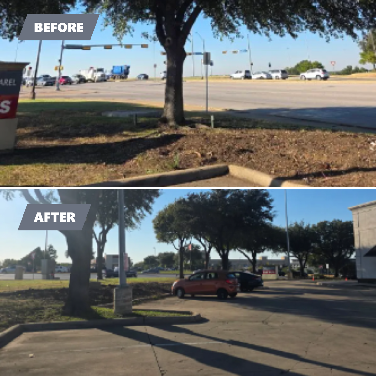 Tree Removal for RACSO RDZ LLC in McKinney, TX