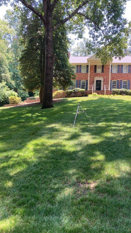 Tree Removal for Mr Greens Landscaping in Chesterfield, VA