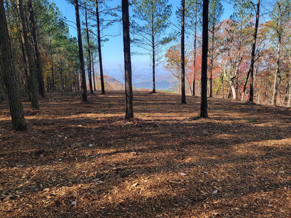 Site Preparation for H&H Earthworks in Decherd, TN