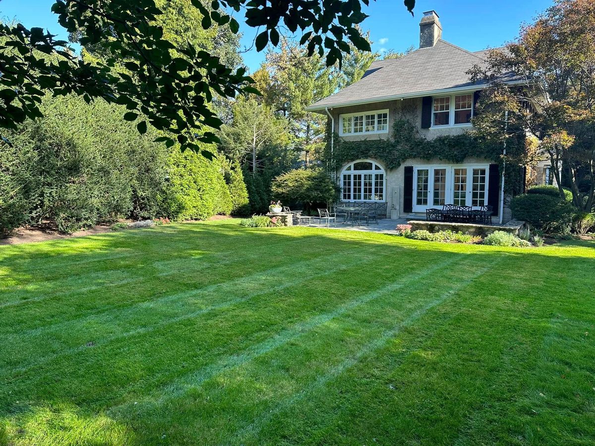 Landscape Design for Saavedra & Sons Landscaping in Waltham, MA