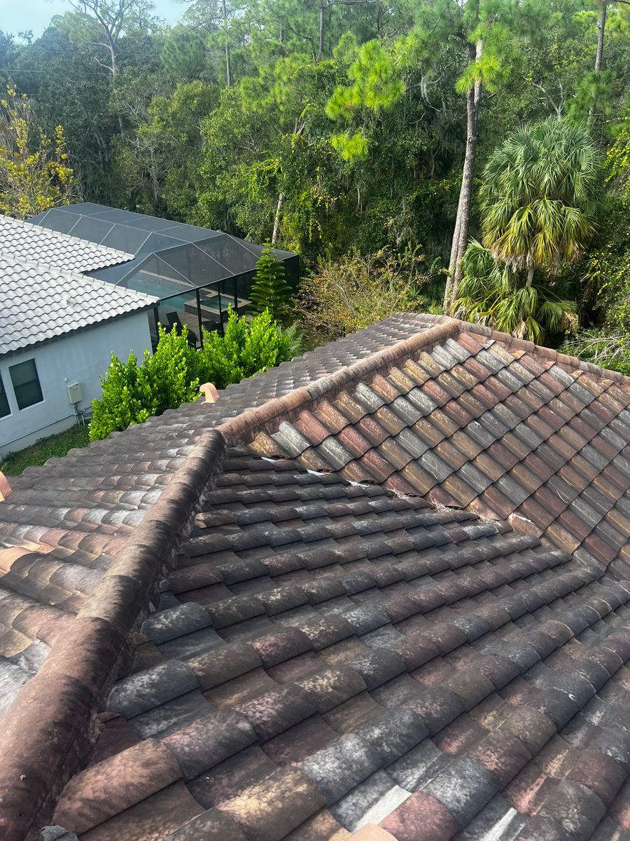 Exterior Cleaning for Barr None Wash Pro in Tampa, FL