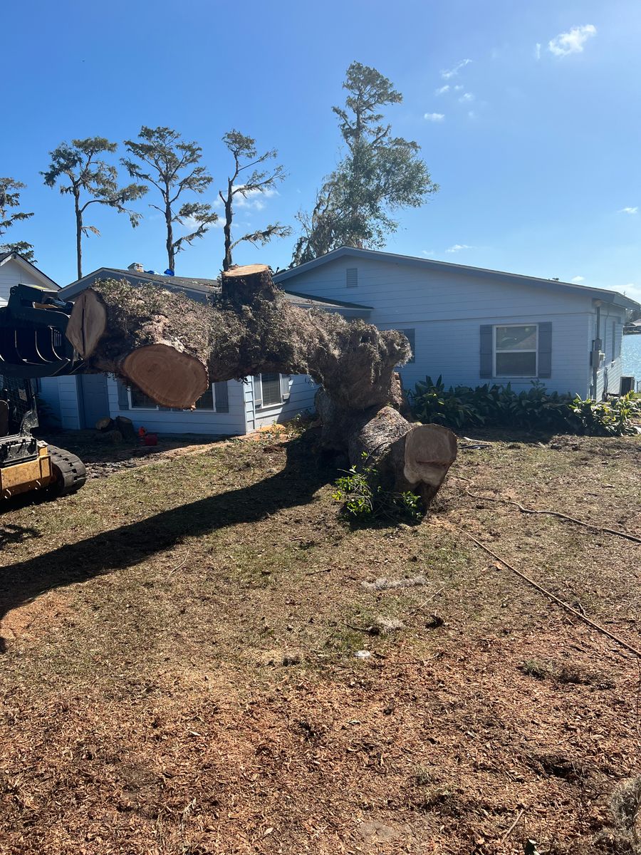Tree Services for Broadway & McMullen Construction in Hattiesburg, MS