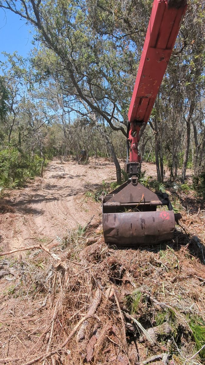 Debris Removal for Regal Tree Service and Stump Grinding in Wauchula, FL