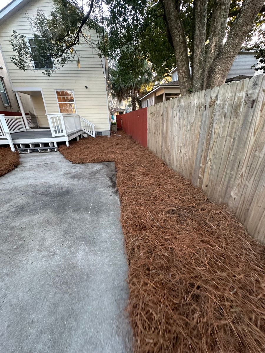 Pine Straw Installation for Coastalscapes Landscaping & Turf Management  in Savannah, GA