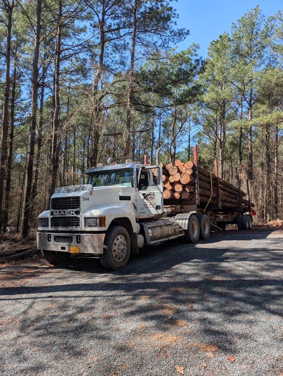 Forestry Mulching for Double J Excavation in Nashville, AR