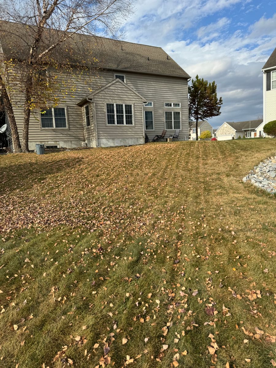 Fall Clean Ups for Landscape & Lawn Care Pros in Temple, PA