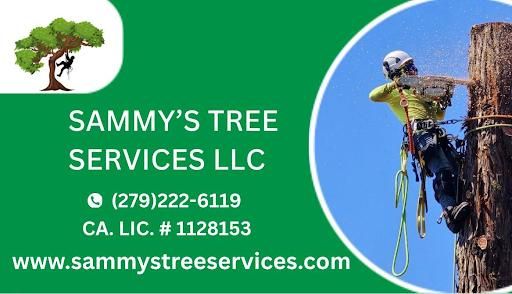Tree Trimming for Sammy's Tree Services in Sacramento, CA
