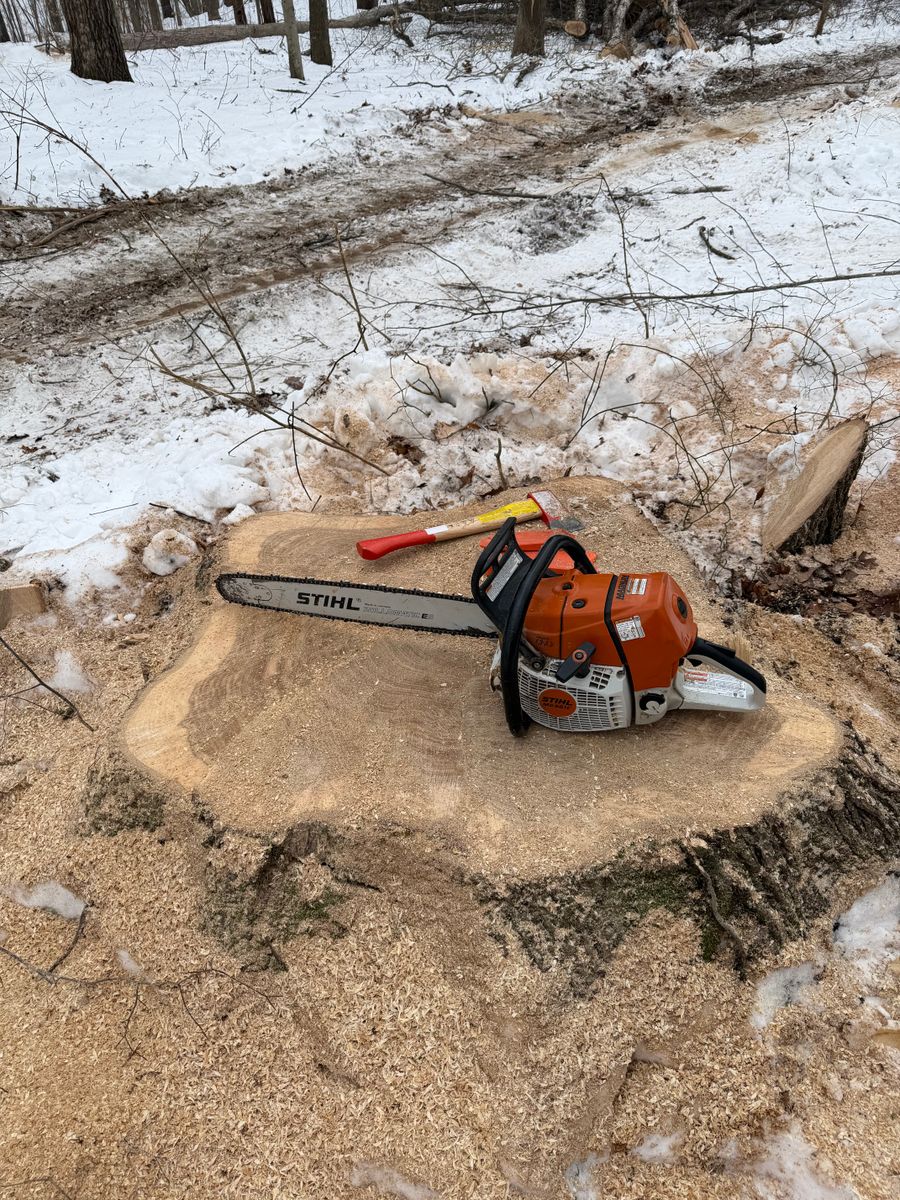 Tree Removal for Kadin’s Tree Service in North Vernon, IN