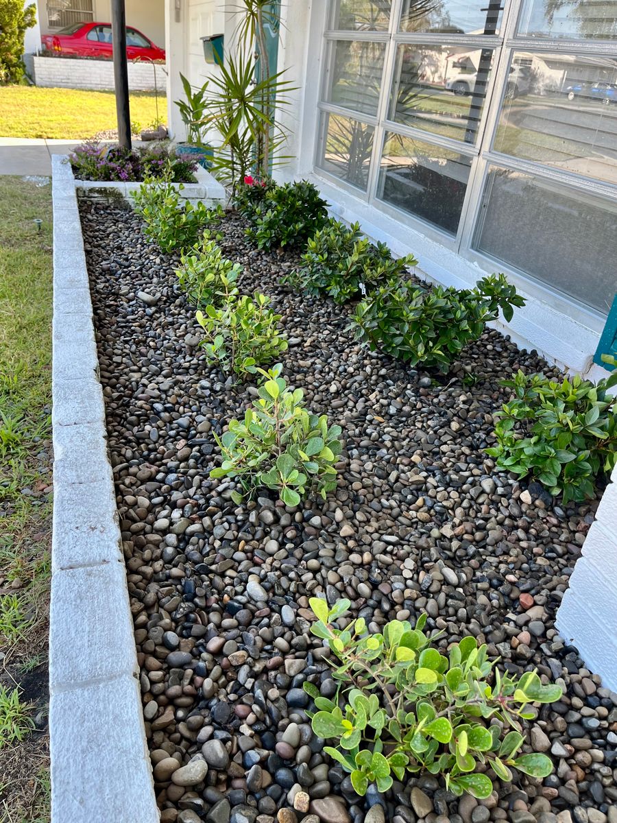 Landscape Design and Installation for Verimay's Garden and Landscaping in Hillsborough County, FL
