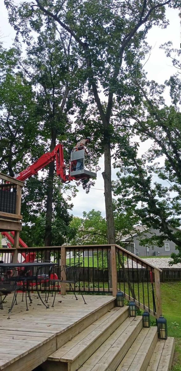 Tree Removal for Lawn Ranger Yard And Tree Service LLC in Ottumwa, IA