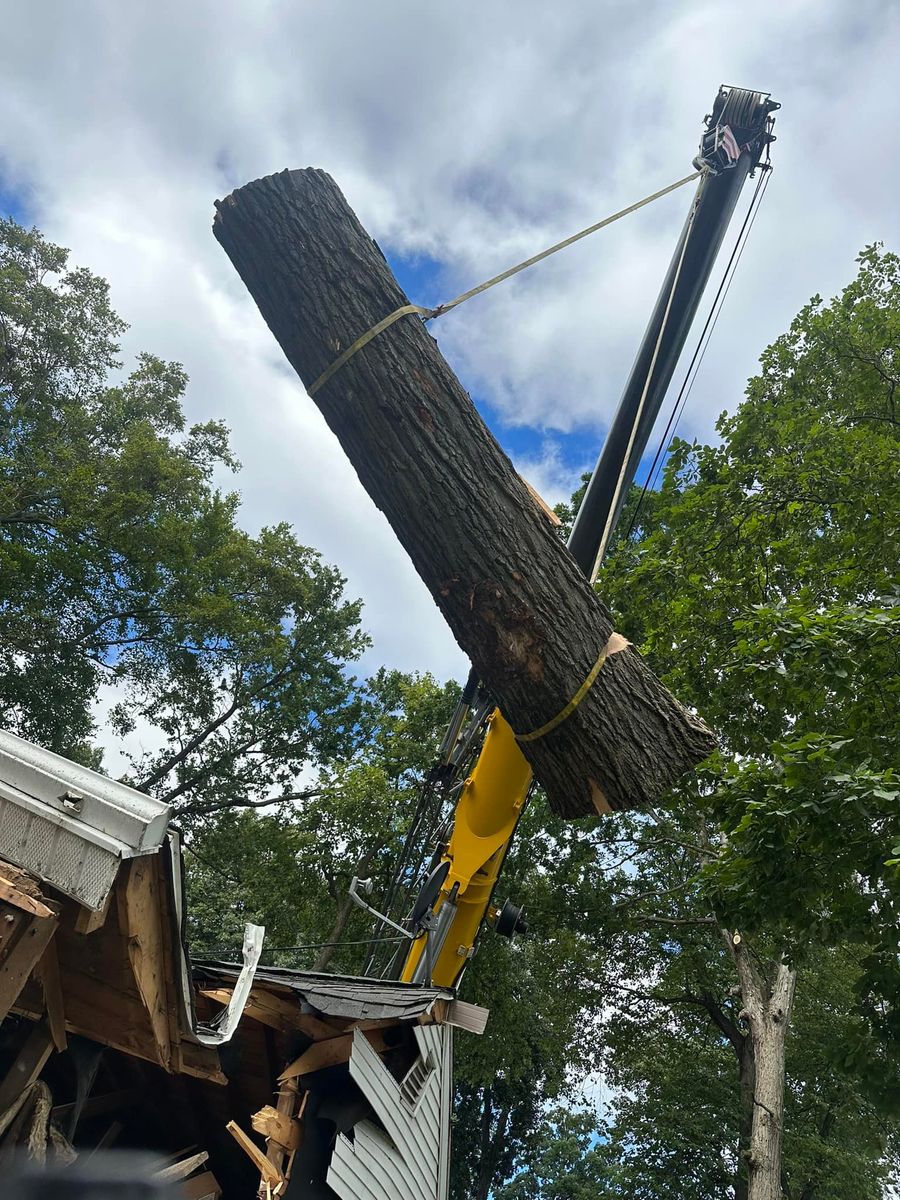 Tree Removal for DGD Outdoor Services LLC in Howell, MI