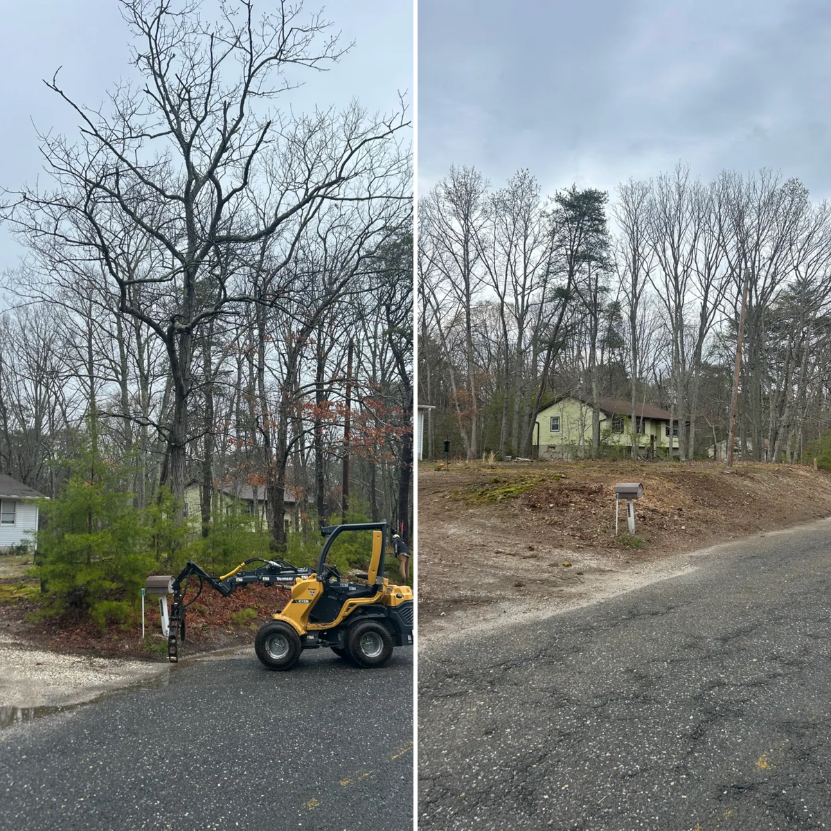 Tree Trimming for Hingewood Tree Service in Salem, NJ