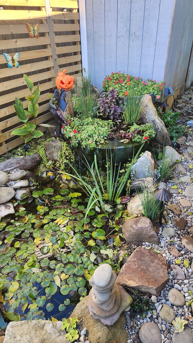 Pond Installation and Maintenance for Freeland's Water Gardens in Clarksburg, WV