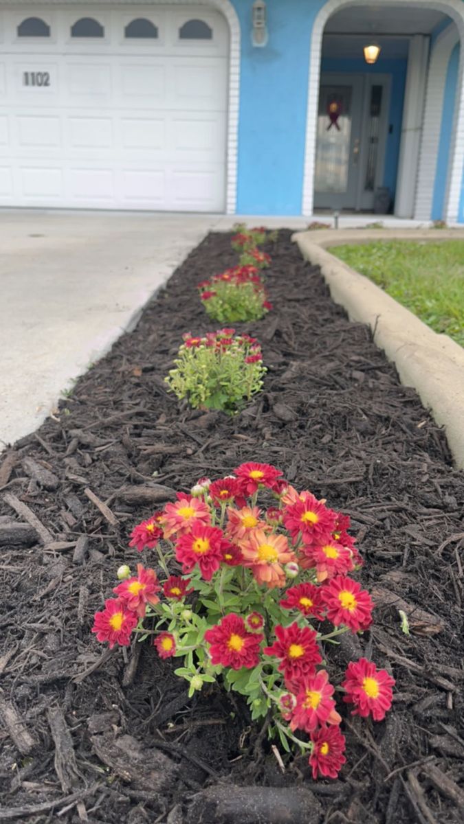 Landscaping & Outdoor Design for Space Coast Property Maintenance and Management LLC in Melbourne, FL
