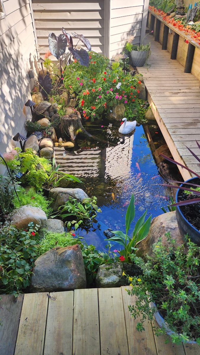 Pond Installation and Maintenance for Freeland's Water Gardens in Clarksburg, WV