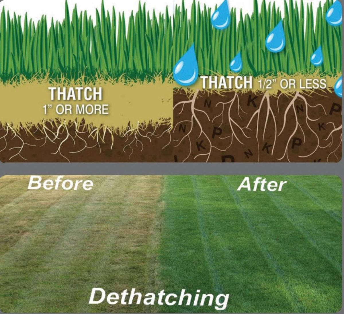 Lawn Aeration for B&L Management LLC in East Windsor, CT