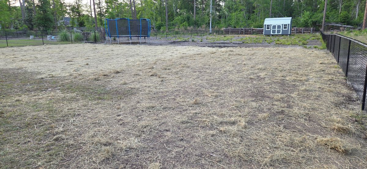 Land Clearing for Giles Land Management, LLC in Hahira, GA