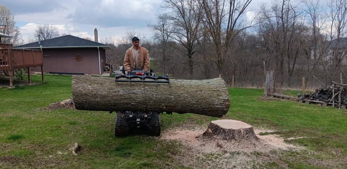 Tree Removal for Lawn Ranger Yard And Tree Service LLC in Ottumwa, IA