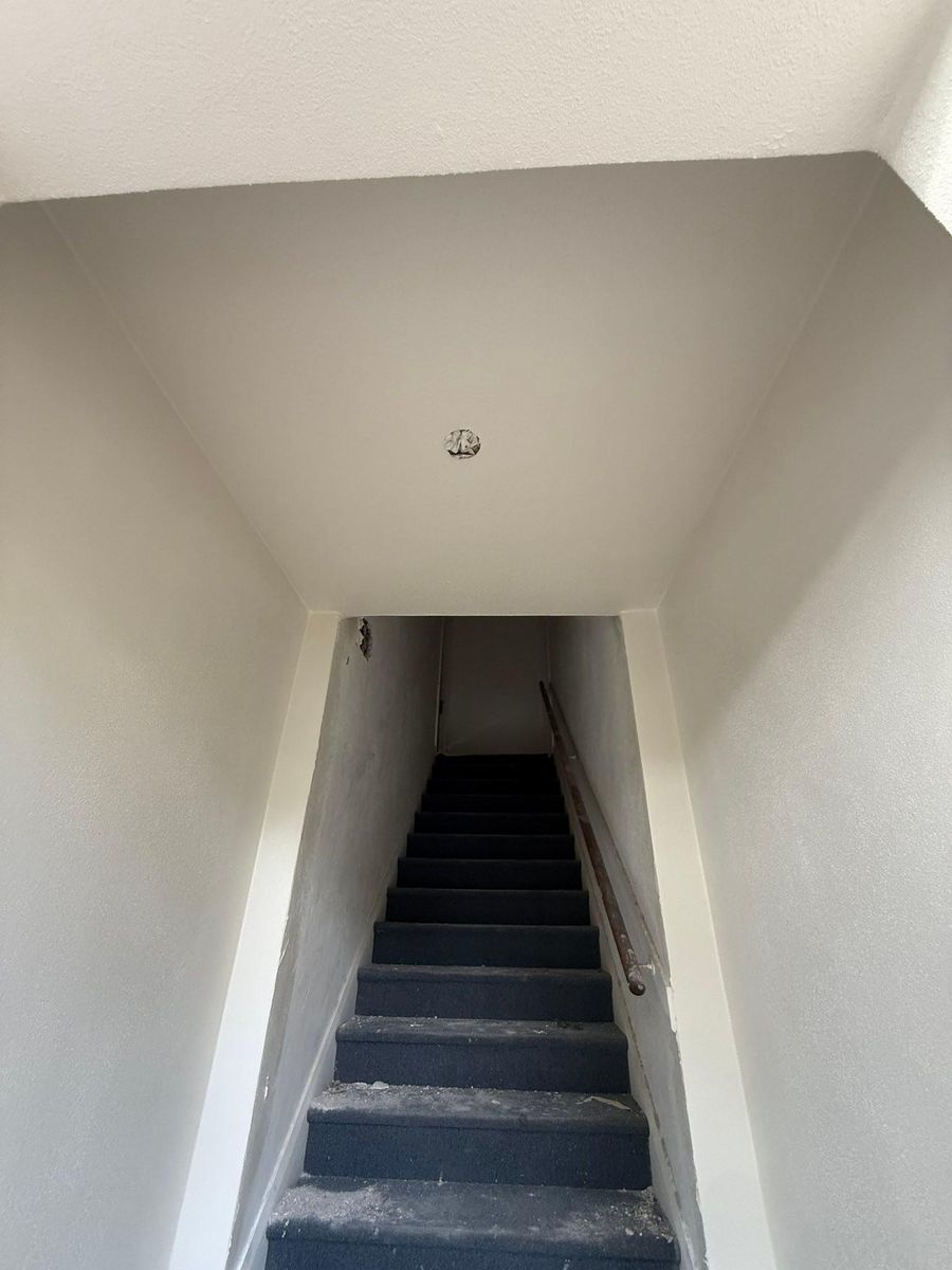 Interior Painting for Escorpio Painting in Tampa, FL