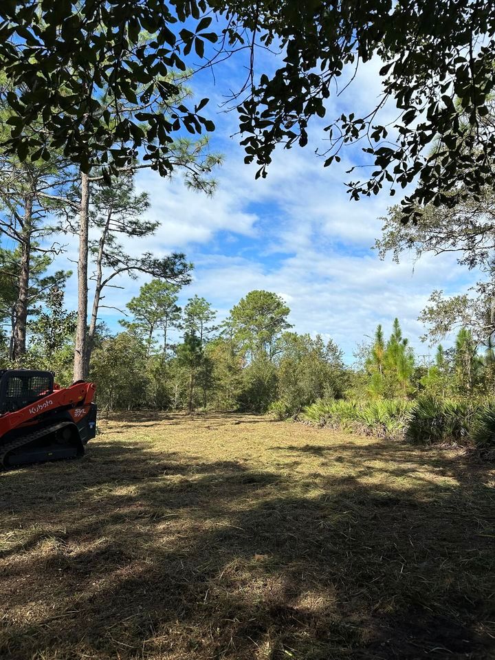 Bush Hogging for High Standards Land Services in Saint Augustine, FL