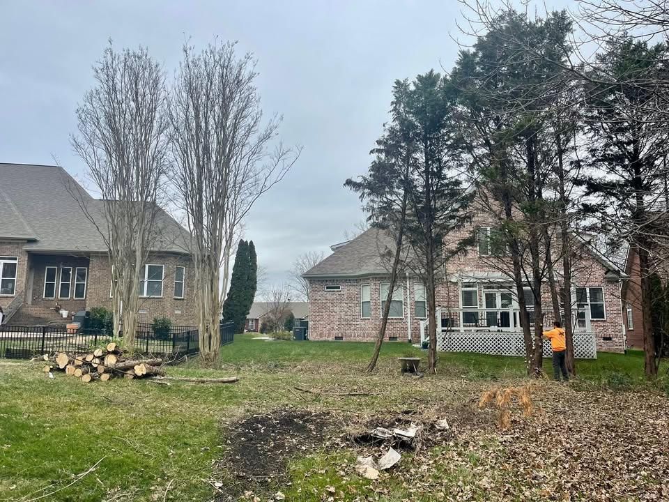 Tree Removal for Ross Family Tree Service LLC  in Hohenwald, TN