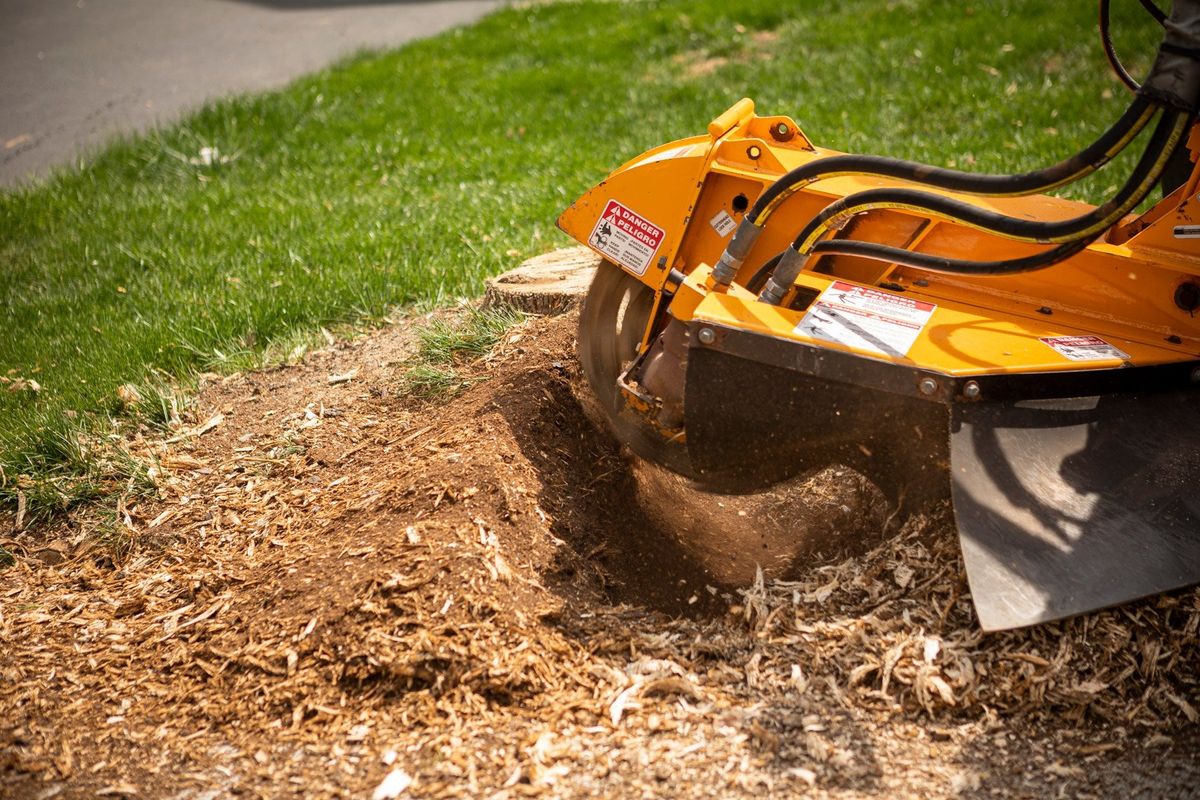 Stump Grinding for Blu-J Tree Care in Arlington, TX
