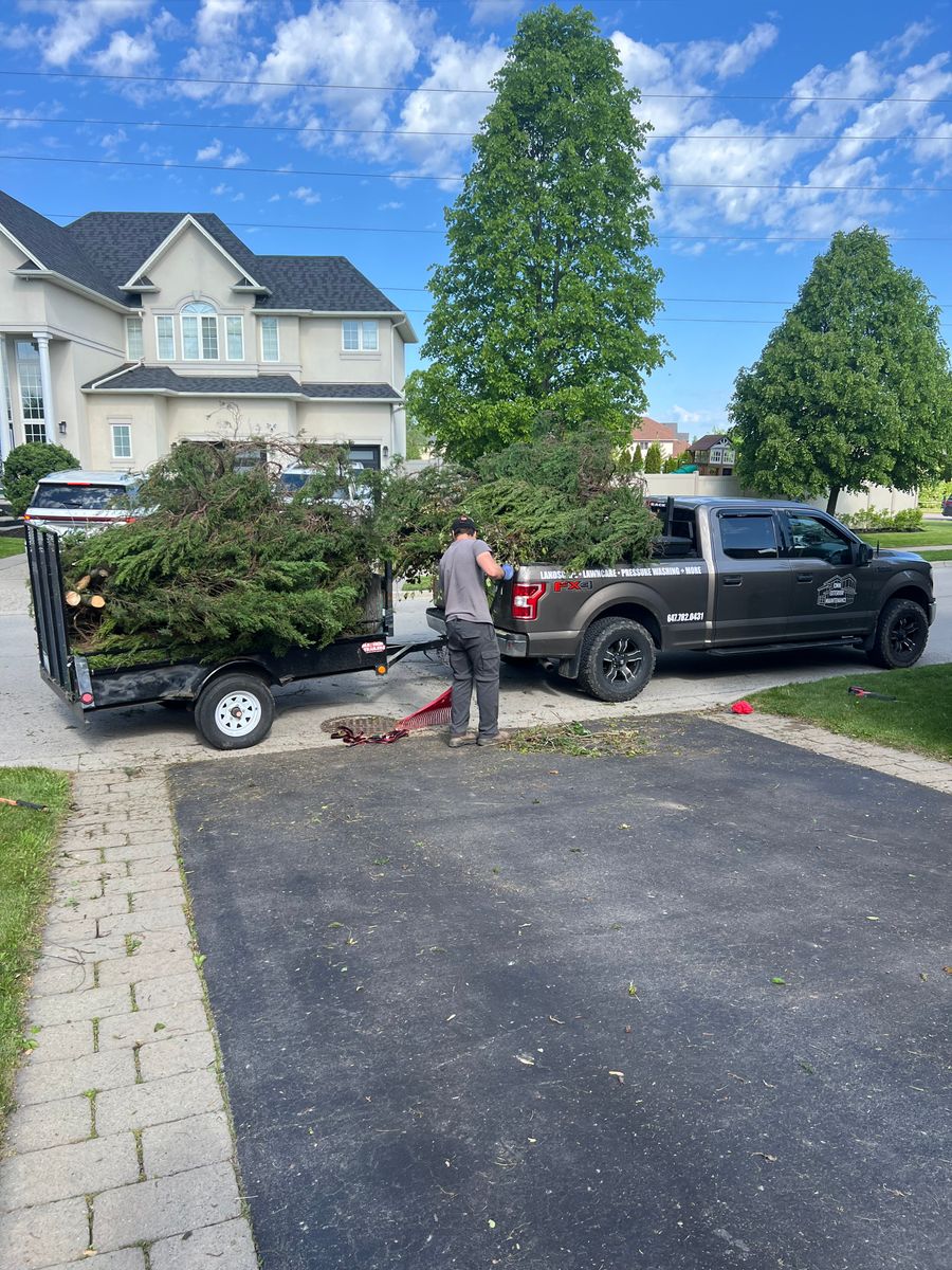 Tree and Shrub removal for CMN Exterior Maintenance in Hamilton, ON