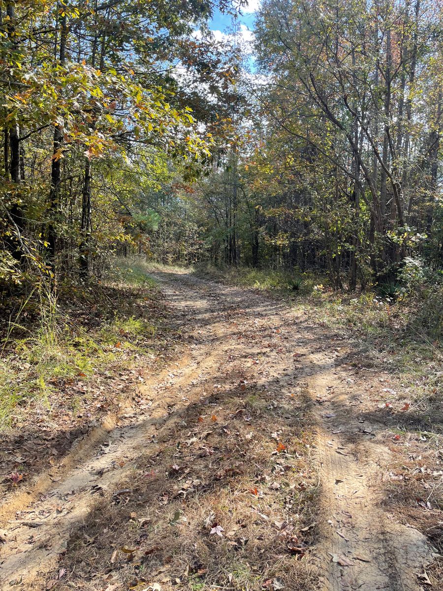 Land Clearing and Demolition for Polasini Land Development in Starkville, MS