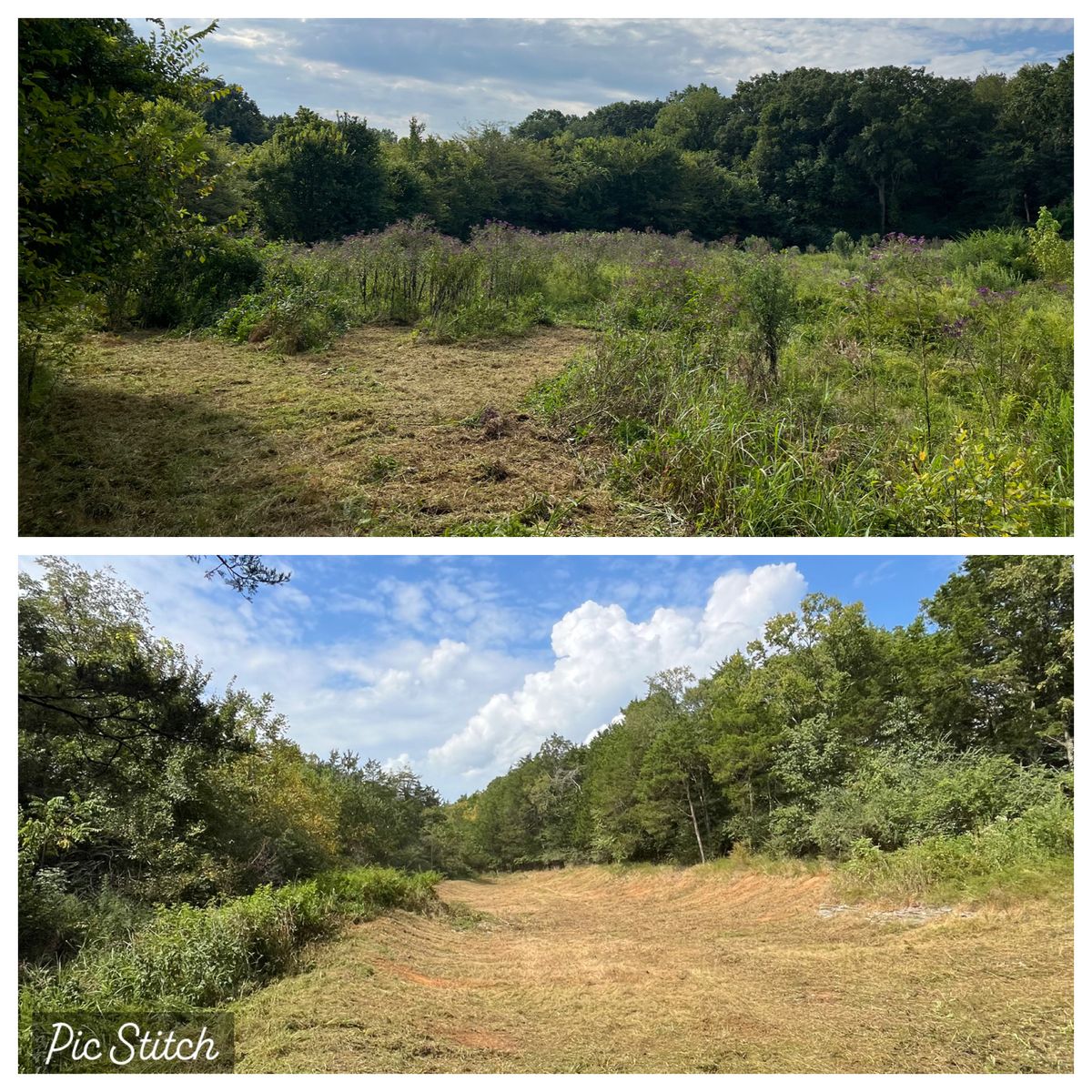 Land Clearing for TriStar Land Clearing & Mulching in Franklin, TN