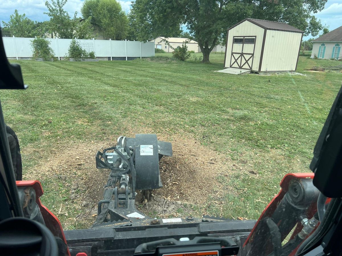 Stump Grinding for Baker Professional Services LLC in Shelbina, MO